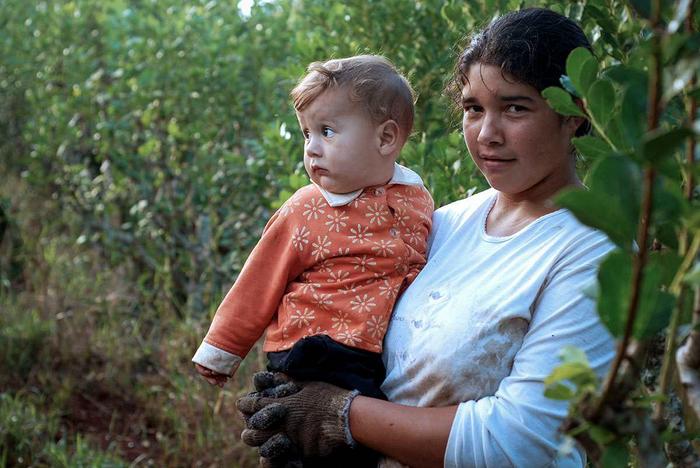 Foto de “Tierra viva agencia de noticias”